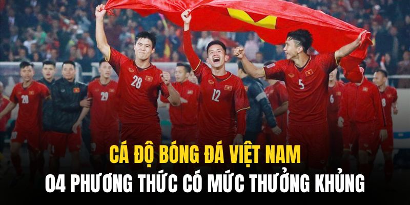 cá độ bóng đá Việt Nam